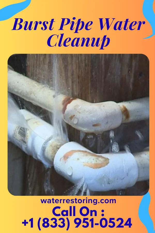 Burst Pipe Water Cleanup in Newberry, IN