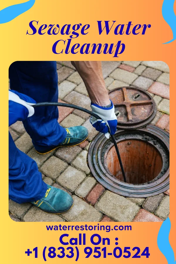 Sewage Water Cleanup in Newberry, IN